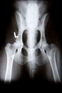 radiology (2)