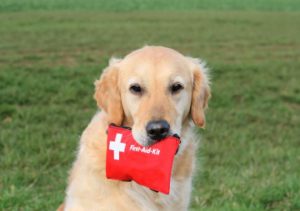 Animal Emergency Preparedness